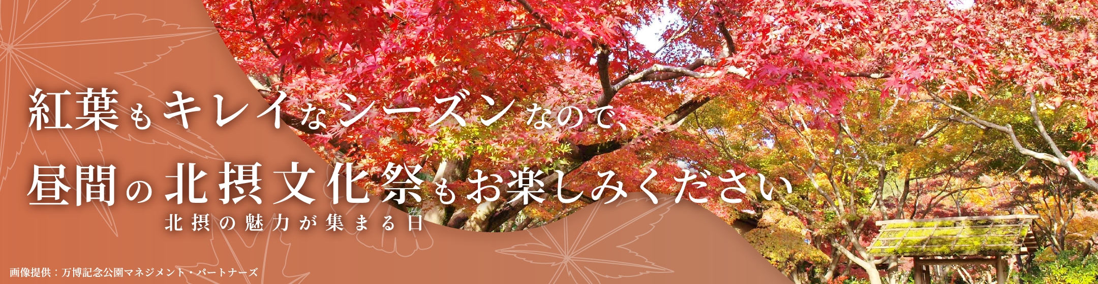 紅葉もキレイなシーズンなので、昼間の北摂文化祭もお楽しみください